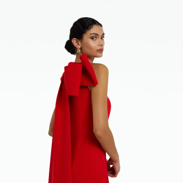 safiyaa gowns