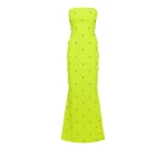 Safiyaa Soshin Tendershoots Long Dress27311 nobg