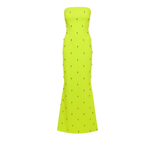 Safiyaa Soshin Tendershoots Long Dress27311 nobg