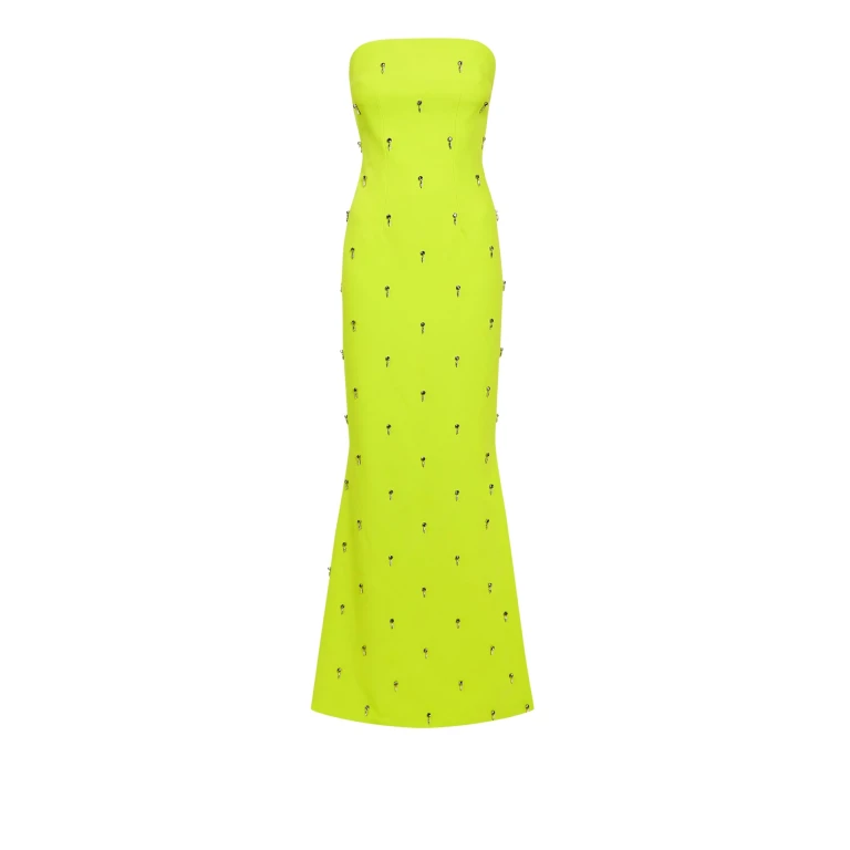 Safiyaa Soshin Tendershoots Long Dress27311 nobg