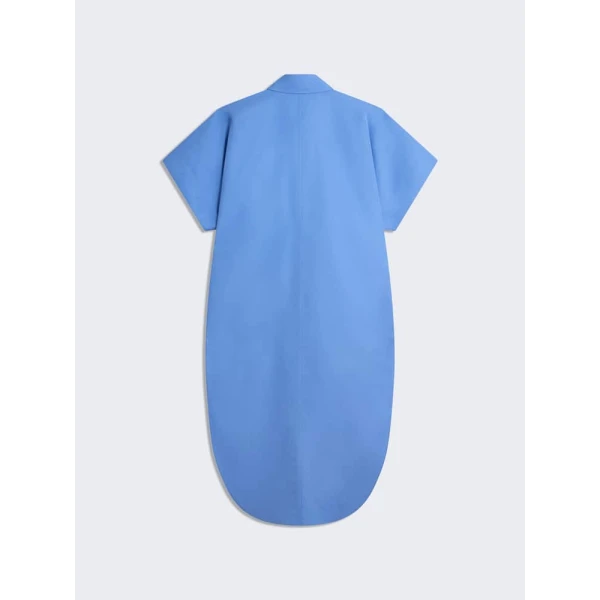 Schiaparelli gown