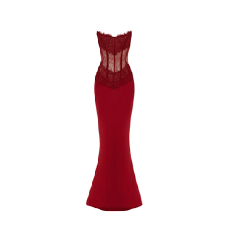 Rasario Lace And Satin Corset Maxi Dress