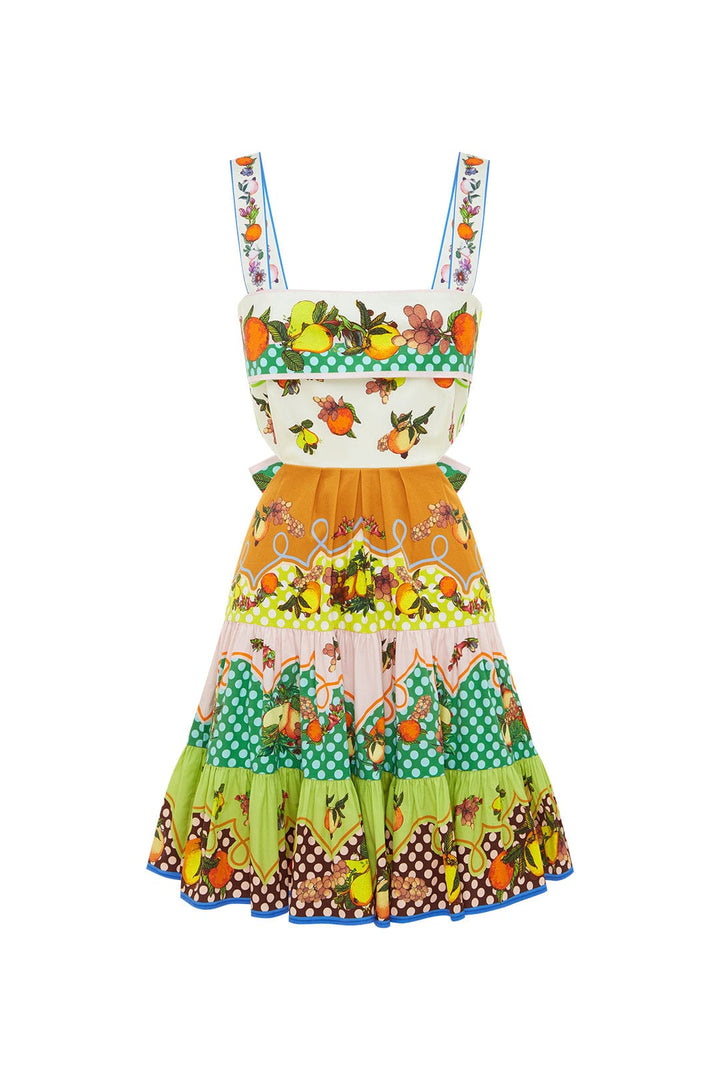 Alemais Lemonis Cut Out Mini Dress