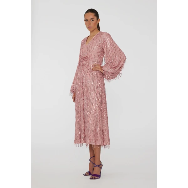 Rotate Birger Christensen dresses