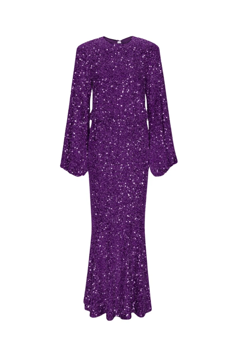Rotate Birger Christensen Sequins Maxi Dress Purple54487 nobg Rotate Birger Christensen Sequins Maxi Dress Purple54487 nobg