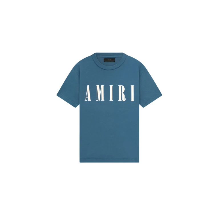 Amiri Core Logo Slim Fit Tee 7 scaled13667 nobg