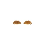 Schiaparelli Earrings luxury Earrings from  Luxury Handbags Marketplace