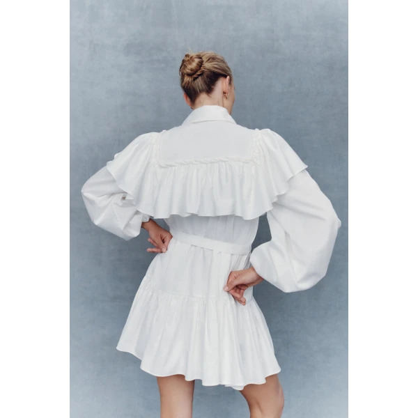 Dahlia Flounce Mini Dress - Image 6