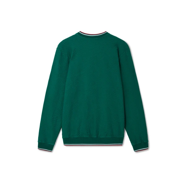 mens sweatshirt