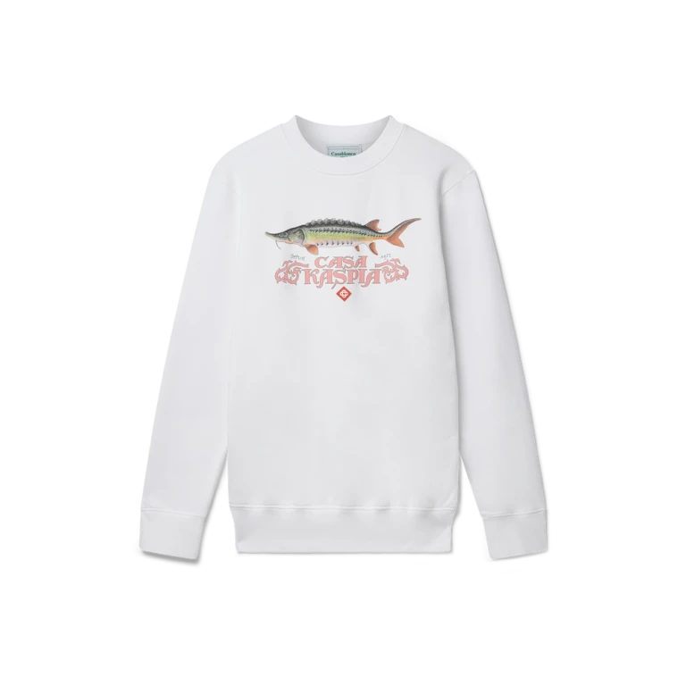 mens sweatshirt