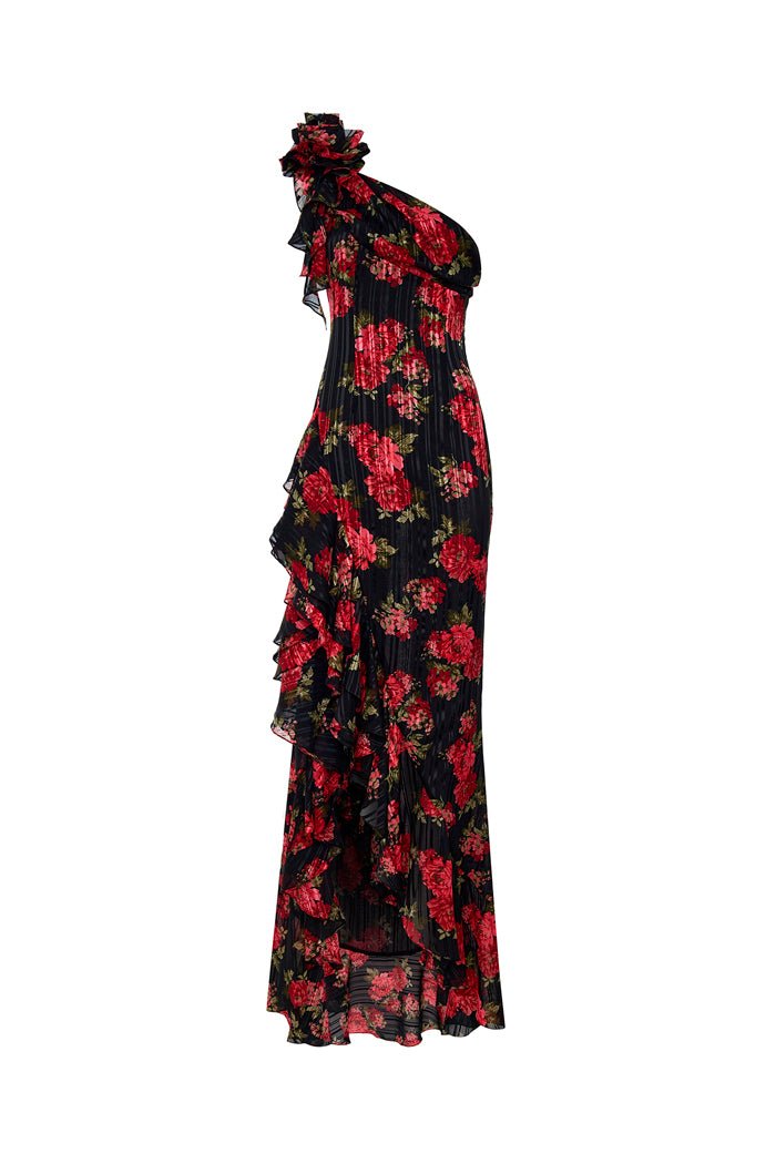 Rasario Asymmetric Printed Chiffon Maxi Dress