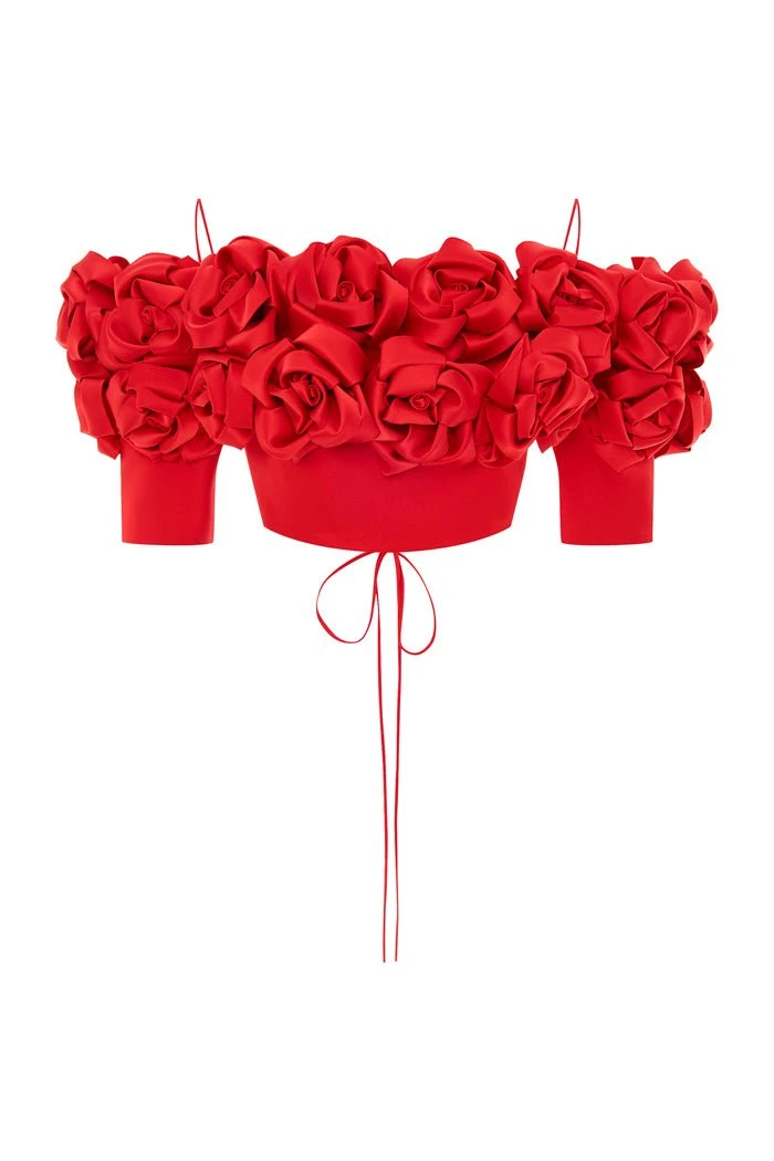 Rasario-Cropped-Flower-Embellished-Satin-Top-With-An-Opened-Back Rasario Cropped Flower Embellished Satin Top With An Opened Back