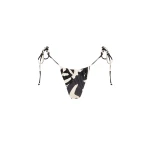 Cosmo Tie String Bikini Bottom