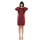 Dayna Mini Dress - Burgundy