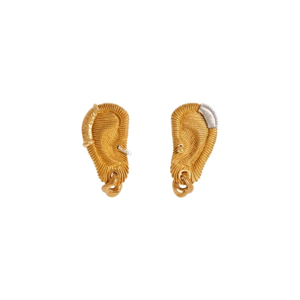 Pierced Ear Earrings