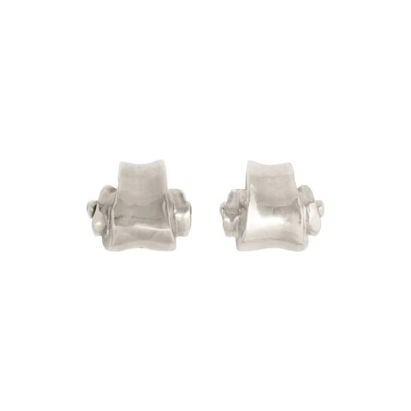 Violin Earrings