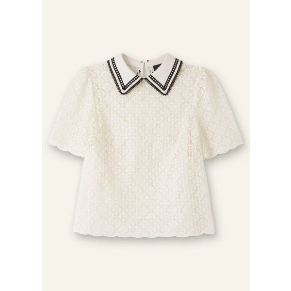 Evening Lace Short Sleeve Top + Cami - Image 6