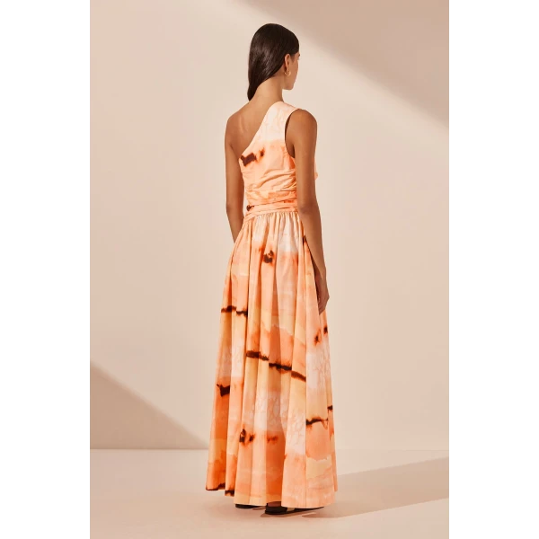Larissa Asymmetrical Gathered Maxi Dress - Image 7