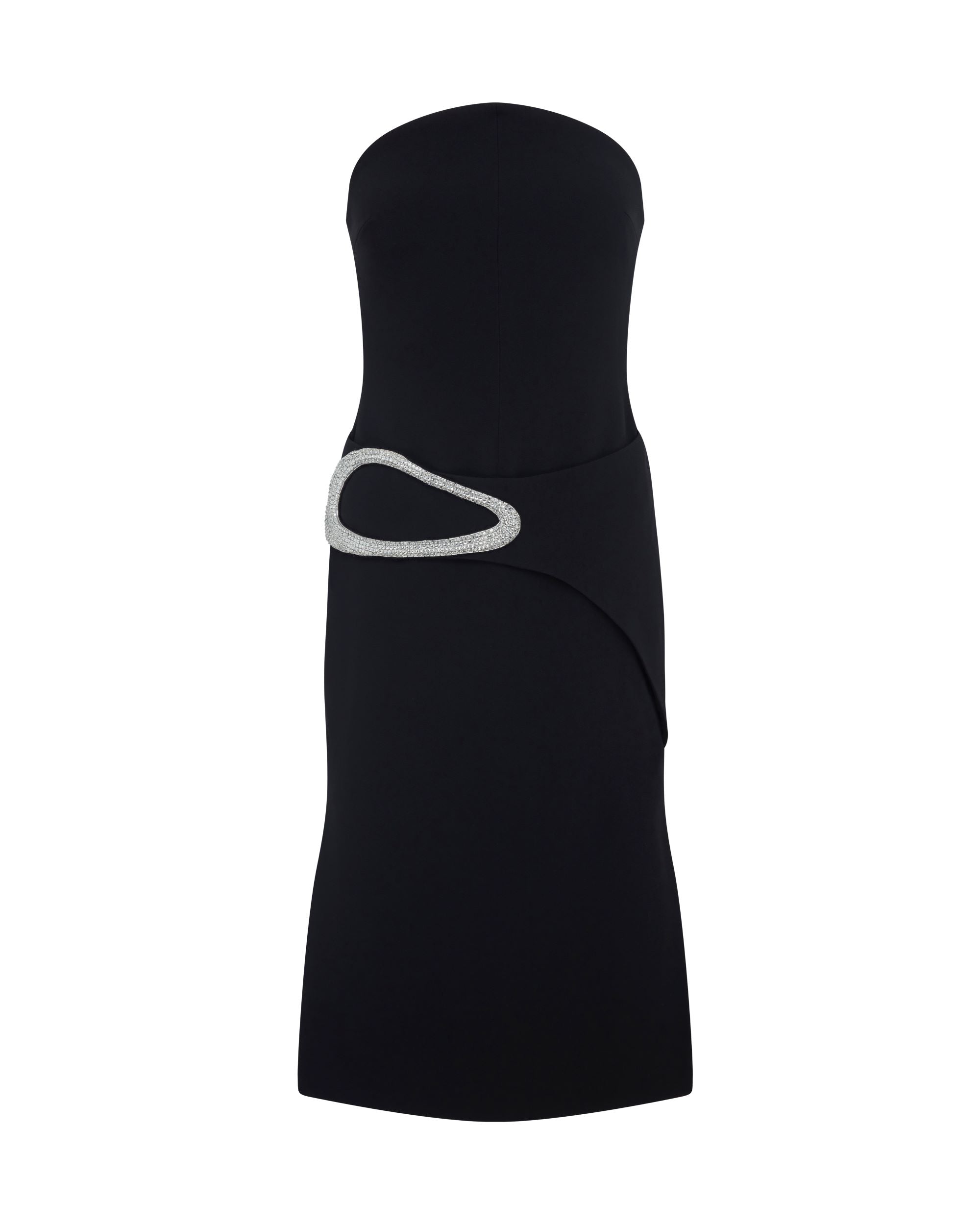 David Koma Crystal Buckle Strapless Midi Dress