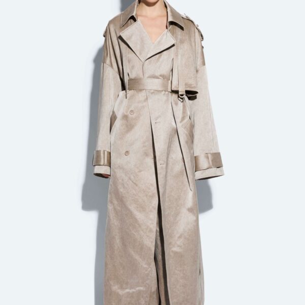 Lapointe dress