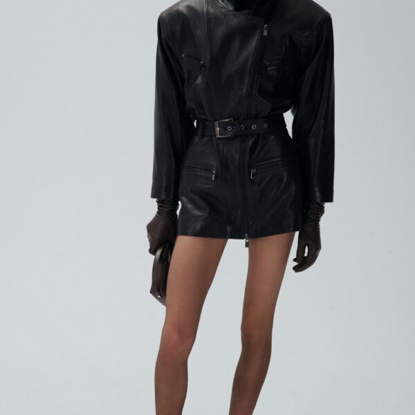 Magda Butrym dress