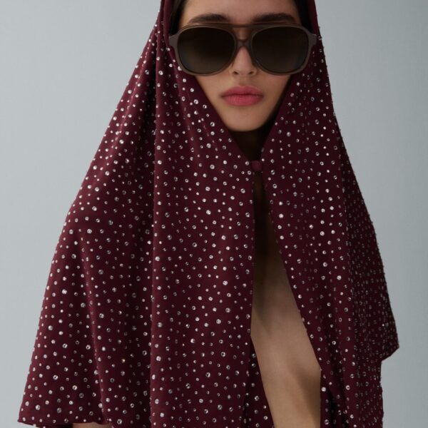 Magda Butrym Hooded plunge maxi dress in bordeaux crystals