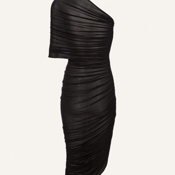 Magda Butrym  dresses