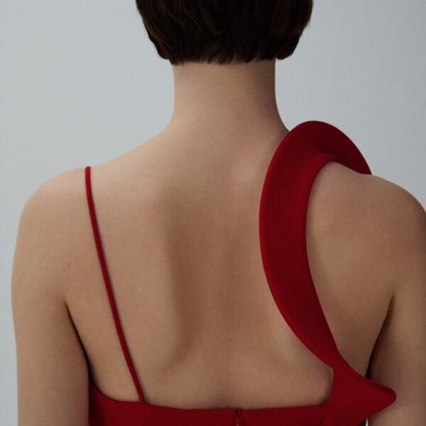 Magda Butrym dress