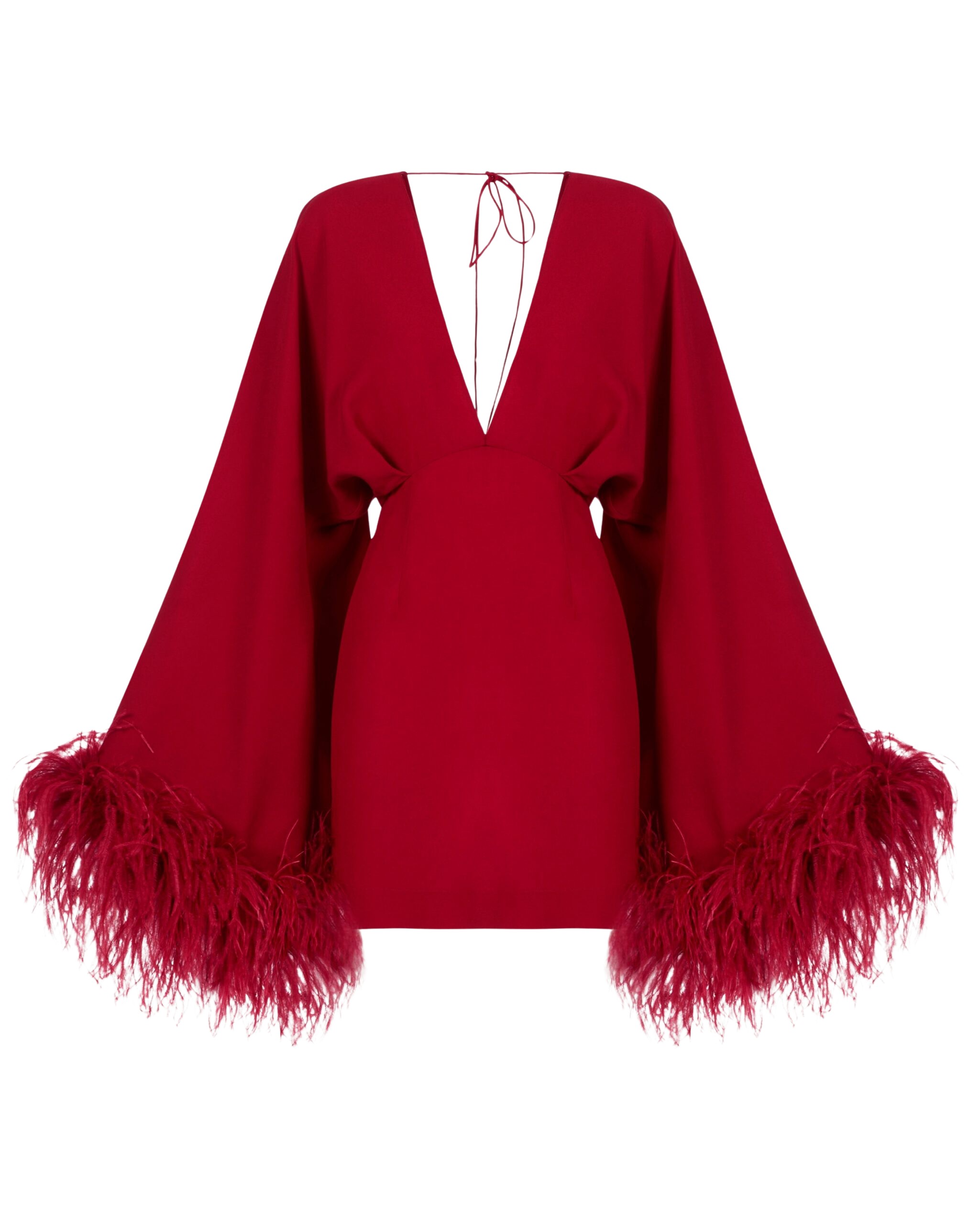 Taller Marmo Feathered Mini Magnifique Dress In Ruby