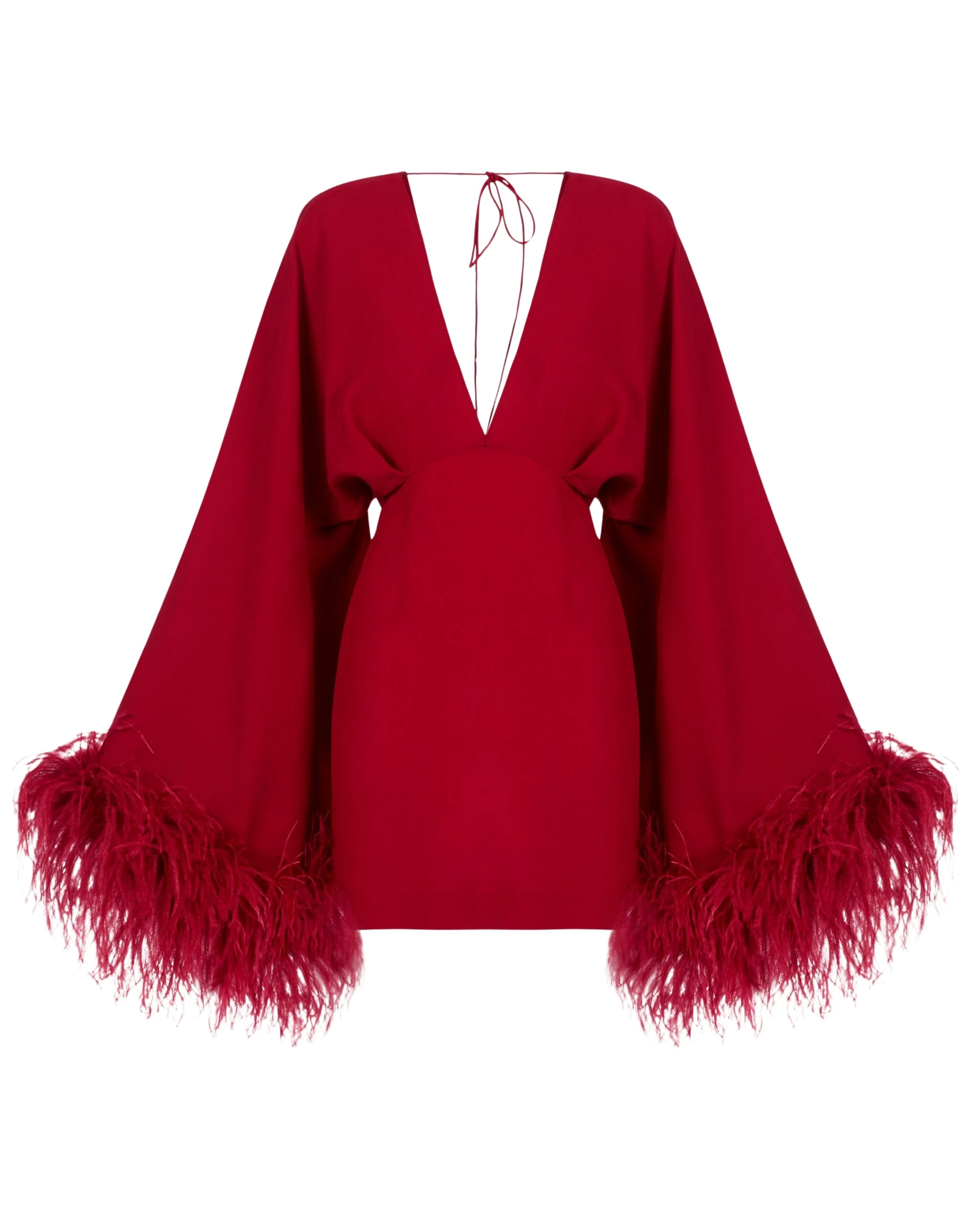 Taller-Marmo-Feathered-Mini-Magnifique-Dress-In-Ruby-scaled46368_nobg Red Feather Dress luxury Clothing from Luxury Handbags Marketplace