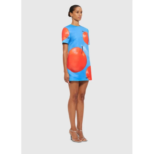 leo lin dresses