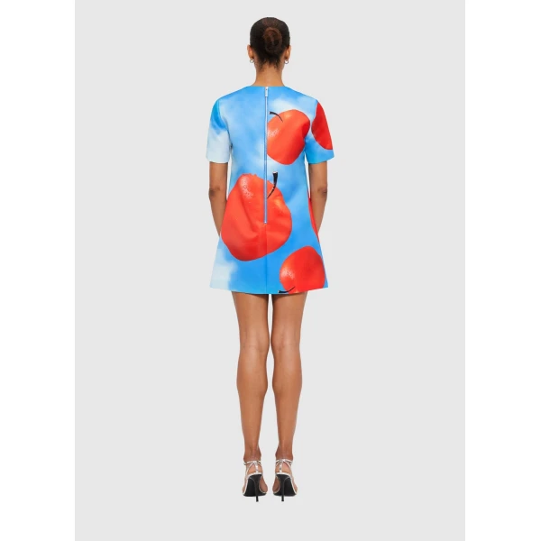 Alexa T-Shirt Mini Dress - Apple Print