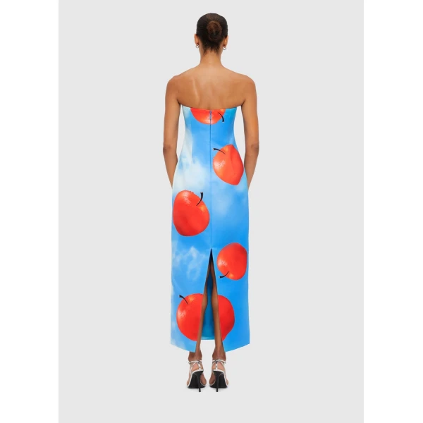 Rayna Printed Bustier Maxi Dress - Apple