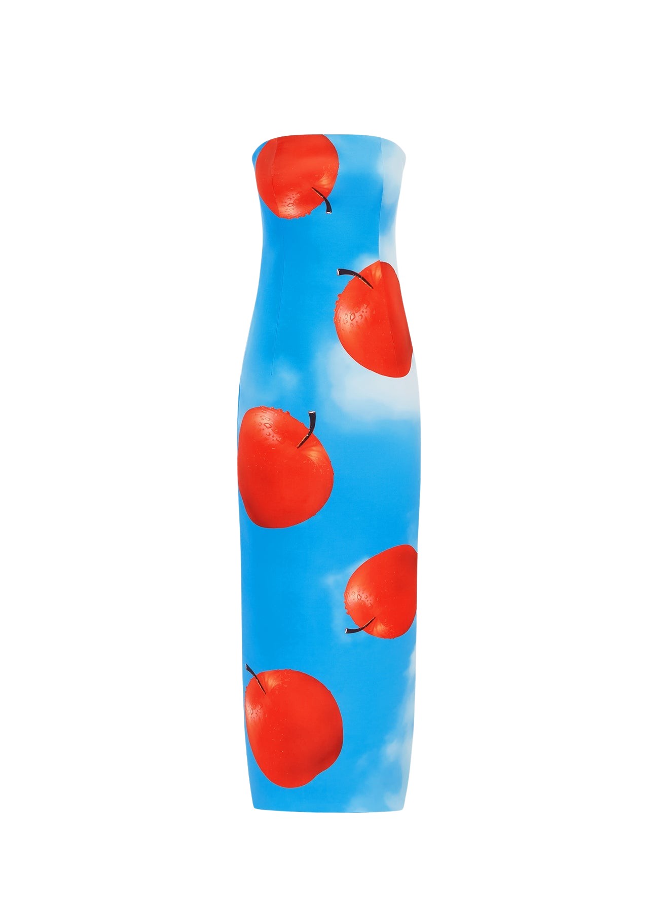 Leo Lin Rayna Printed Bustier Maxi Dress – Apple