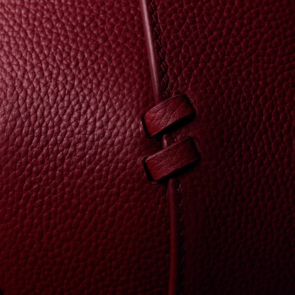 Polene Edition Garnet  Bag, view 4