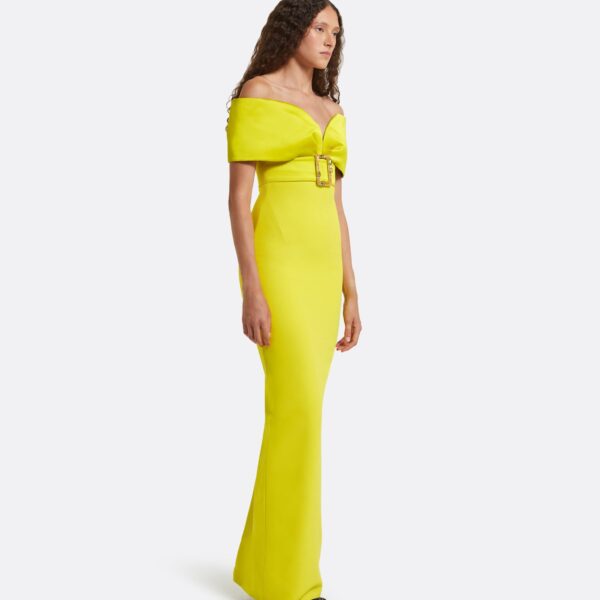 Safiyaa Abike Chartreuse Long Dress, view 5