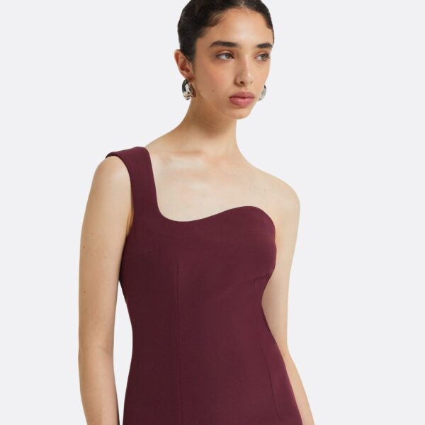 Safiyaa Banu Wine Long Dress, view 4
