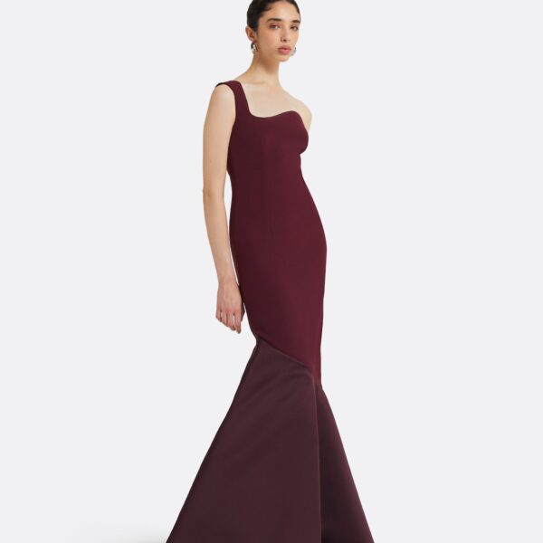 Safiyaa Banu Wine Long Dress, view 5