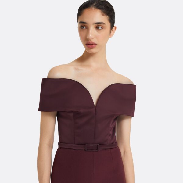 Safiyaa Ebren Wine Midi Dress, view 4