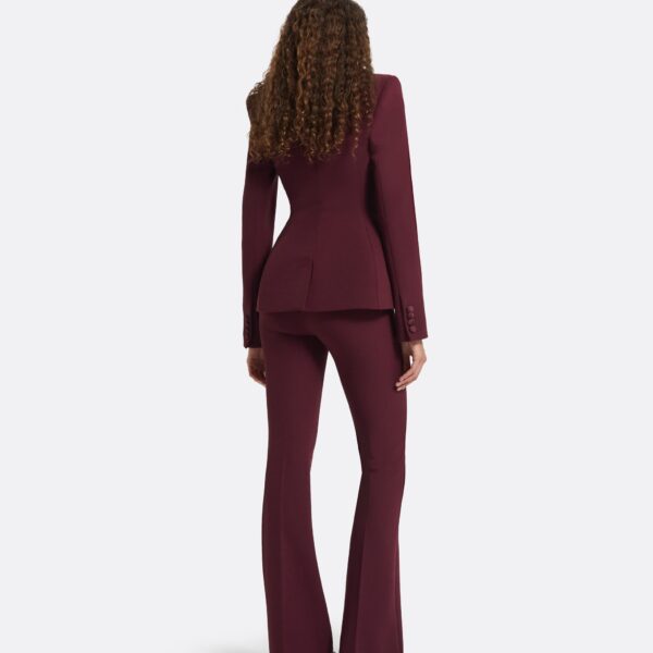Safiyaa Gulsen Wine Jacket, view 3