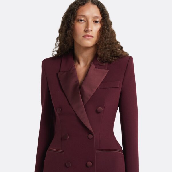 Safiyaa Gulsen Wine Jacket, view 4