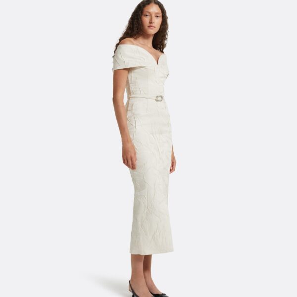 Safiyaa Tonyi Embroidered Midi Dress, view 5