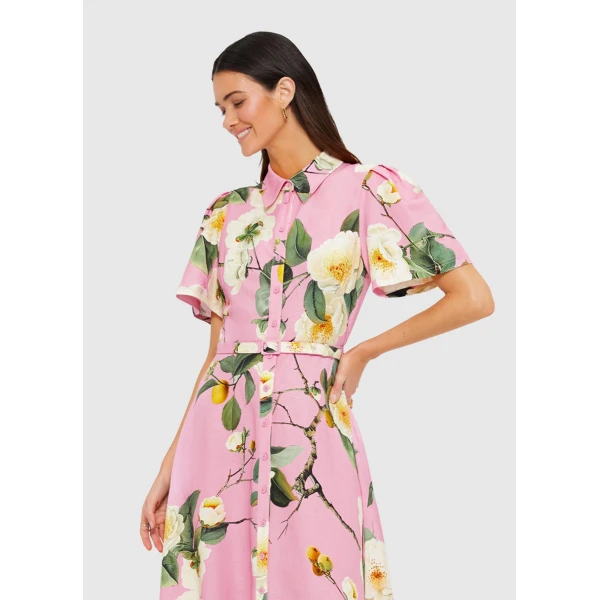 leo lin maxi dress