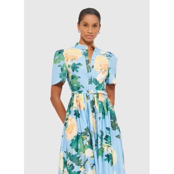leo lin maxi dress