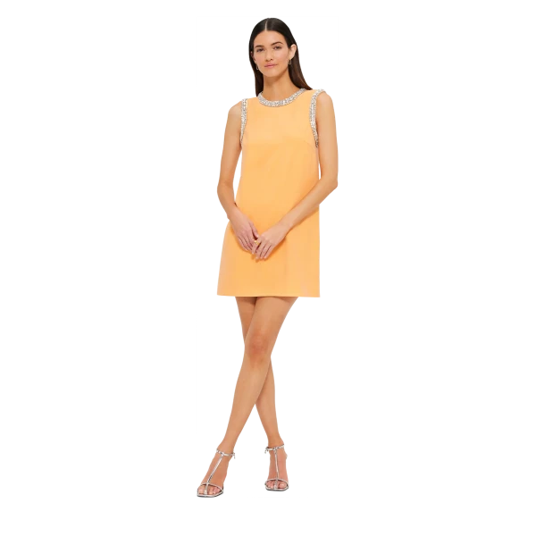leo lin dress