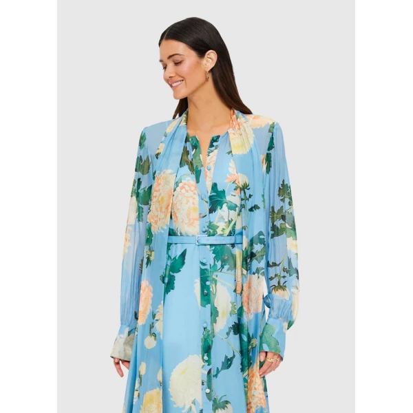 leo lin maxi dress