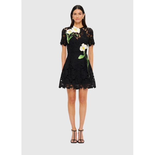 leo lin dresses