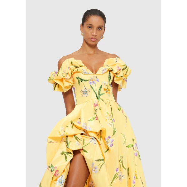 leo lin maxi dress