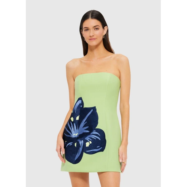 leo lin maxi dress