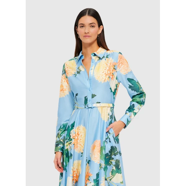 leo lin maxi dress